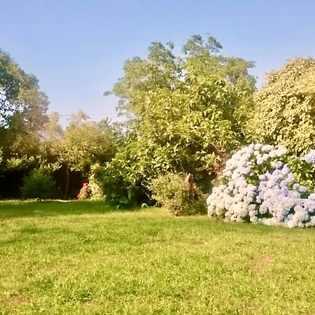 Loriana Panzió Milo